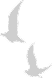 interactiveImage2